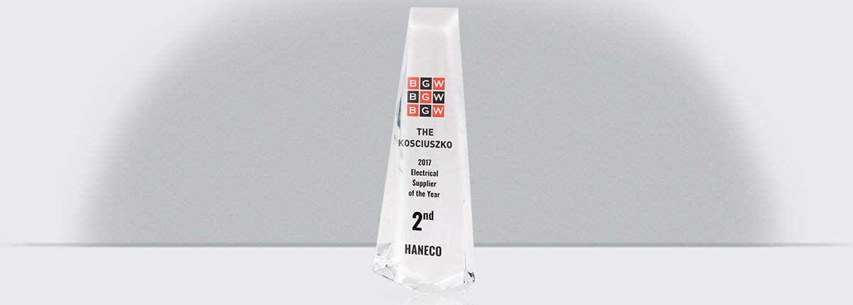 Haneco Award