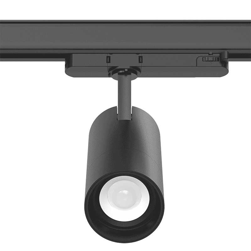 FOCI<sup>G2</sup>