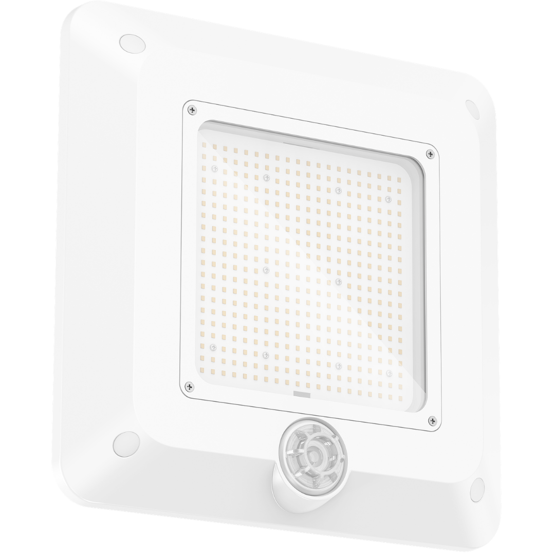 BENZINA<sup>G3</sup>