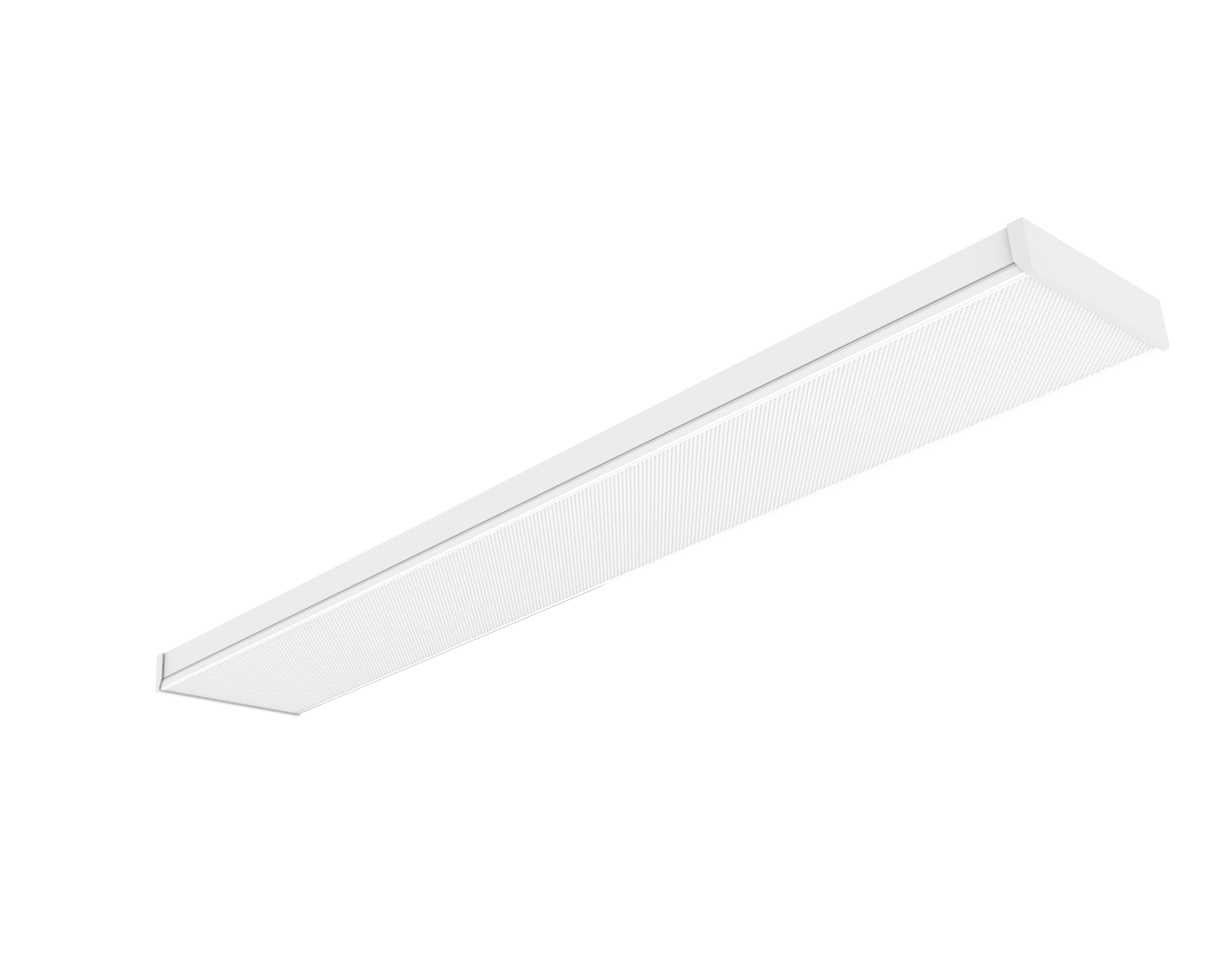 OXFORD<sup>PLUS</sup>